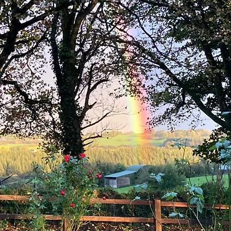 The Apartamento Cork