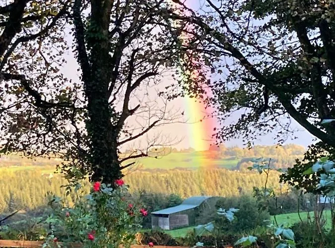 The Appartement Cork